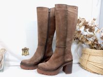 103110 BOTA ALERT D9559-CA CALF COLTON